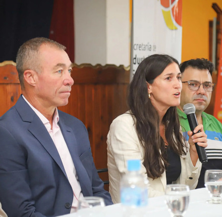 Descripción gráfica